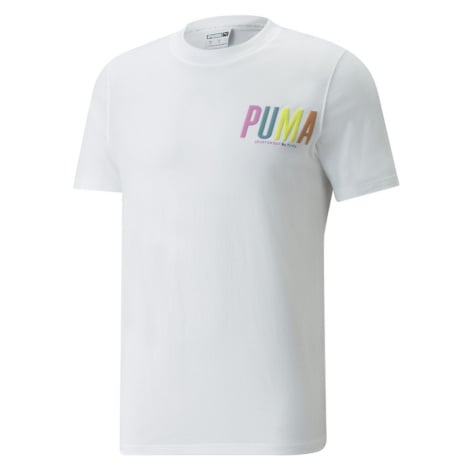 Puma SWxP Graphic Tee Pánské tričko US 533623-02