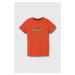Dětské bavlněné tričko Pepe Jeans RICHARD oranžová barva, s potiskem