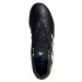 Kopačky adidas COPA SENSE 2 FG Černá / Zelená