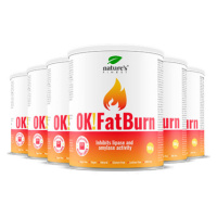 100% FatBurn Nápoj | 6x OK!FatBurn® | s ID-Alg® a L-Karnitinem | Nejlepší Spalovače Tuku v České