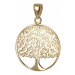 Přívěšek ze žlutého zlata strom života ZZ0254F+ DÁREK ZDARMA