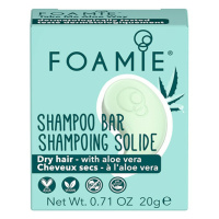 FOAMIE Tuhý šampon pro suché vlasy Shampoo Bar Travel Size 20 g