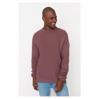 Pánský svetr Trendyol Knitwear