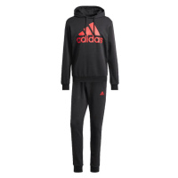 Froté tepláky Adidas Big Logo M IP5553