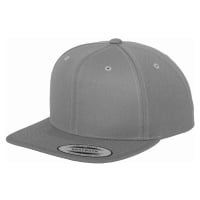 Kšiltovka // Flexfit Classic Snapback silver