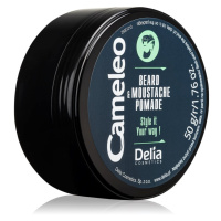 Delia Cosmetics Cameleo Men vosk na vousy 50 g