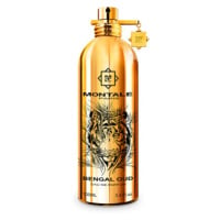 Montale Bengal Oud - EDP 2 ml - vzorek s rozprašovačem