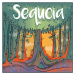 Allplay Sequoia