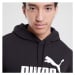 Puma Mikina S Kapucí Ess Big Logo Hoodie Tr