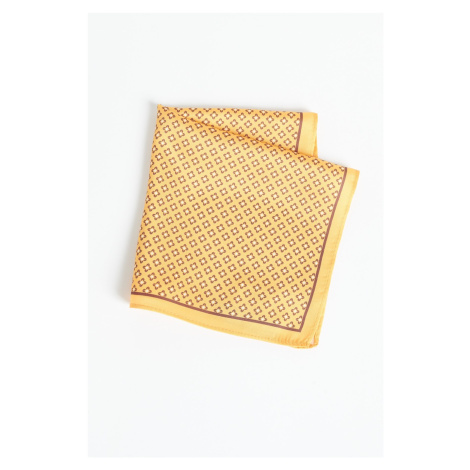 ALTINYILDIZ CLASSICS Men's Yellow Patterned Handkerchief AC&Co / Altınyıldız Classics