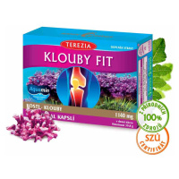 Terezia Klouby fit 60 kapslí