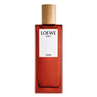 LOEWE - Solo Cedro - Toaletní voda