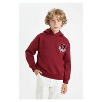 DEFACTO Boy Oversize Fit Hooded Thick Sweatshirt