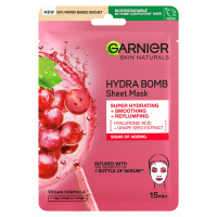 Garnier Skin Naturals Vyhlazující a vyplňující textilní maska s výtažkem z hroznů 28 g
