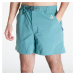 Nike ACG Men's Hiking Shorts Bicoastal/ Vintage Green/ Summit White