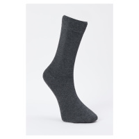 ALTINYILDIZ CLASSICS Men's Gray Single Socks with Bamboo.