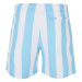 Pattern Swim Shorts - balticbluebarstripe