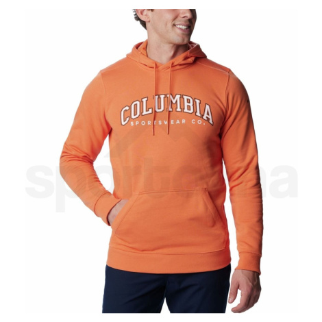 Columbia CSC Basic Logo™ II Hoodie 1681664849 - desert orange