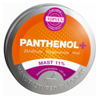 GREEN IDEA PANTHENOL + MAST 11% 50 ml