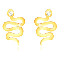 Zlaté 375 puzetové náušnice - zvlněný lesklý had se zirkonovou hlavičkou