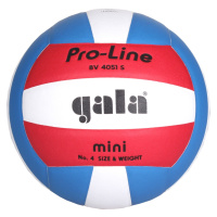 Gala BV4051S Training Mini