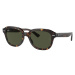 Ray-Ban Erik RB4398 902/31 - L (53)