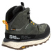 Jack Wolfskin TERRAQUEST TEXAPORE MID M Pánská treková obuv, zelená, velikost