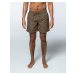 Bula Scale Shorts