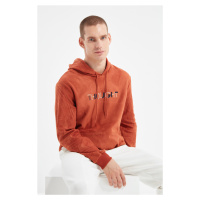 Trendyol Men's Regular/Normal Fit Hoodie with Embroidery and Warm Thick Fleece/Plush Sweatshirt.