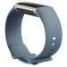 Fitness náramek Fitbit Charge 5 Steel Blue/Platinum Stainless Ste