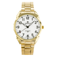 Pánské hodinky PERFECT G138 (zp293b)