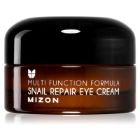 Mizon Multi Function Formula  Snail regenerační oční krém se šnečím extraktem 25 ml