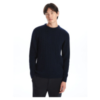 LC Waikiki Crew Neck Long Sleeve Men's Knitwear Sweater