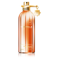 Montale Honey Aoud parfémovaná voda unisex 100 ml