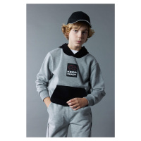 DEFACTO Boy's Printed Hooded Thick Sweatshirt