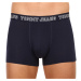 3PACK pánské boxerky Tommy Hilfiger vícebarevné (UM0UM02850 0T8)