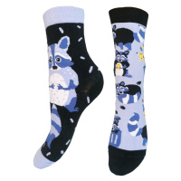 Dámské ponožky Aura.Via - NZP9080, modrá/ mýval Barva: Modrá tmavě