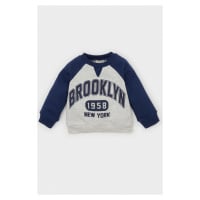 DEFACTO Baby Boy Crew Neck Printed Soft Furry Thin Sweatshirt