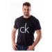 Pánské tričko Calvin Klein CK ONE NB1164 Černá