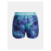 Kraťasy Under Armour Play Up Printed Shorts-BLU