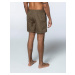 Bula Scale Shorts