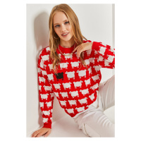 Bianco Lucci Women's Sheepskin Patterned Knitwear Sweater