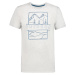 Pánské tričko Icepeak Beeville T-shirt