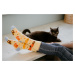 Hesty Veselé ponožky Kočka