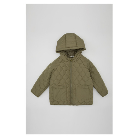 DEFACTO Baby Boy Zipper Pocket Hooded Water Repellent Patterned Puffer Jacket