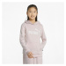 Puma ESS Logo Hoodie TR G Dětská mikina EU 587030-16