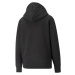 Puma SWxP Graphic Hoodie TR Dámská mikina US 533564-01