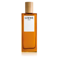 Loewe Solo toaletní voda pro muže 50 ml