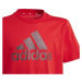 Tričko adidas Big Logo Tee Jr IJ6262