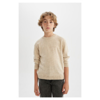 DEFACTO Boy's Ecru Crew Neck Basic Plain Knitwear Sweater